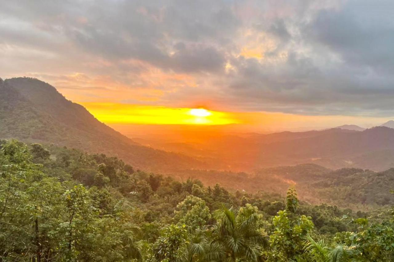 La Grove 2Bhk With Stunning View - Kannur Wayanad Dış mekan fotoğraf
